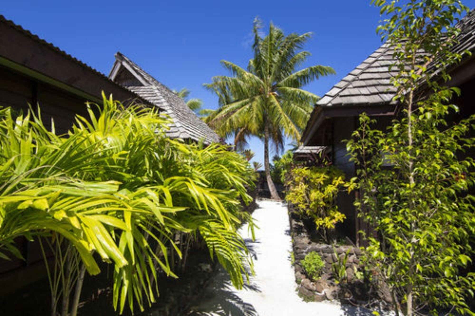 Oa Oa * Bora Bora